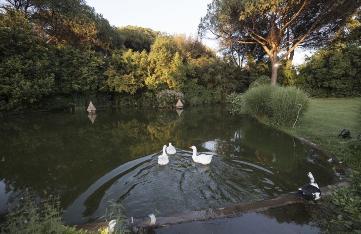 Fotoreportage Matrimonio di Andrea & Elisa - Colizzi Fotografi