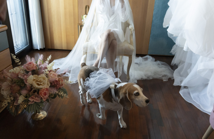 Fotoreportage Matrimonio di Claudio & Valentina - Colizzi Fotografi